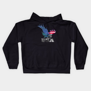 American flag Kids Hoodie